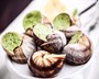 Quel vin pour Escargot ?